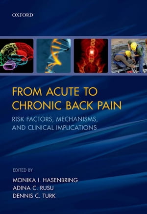 From Acute to Chronic Back Pain Risk Factors, Mechanisms, and Clinical...