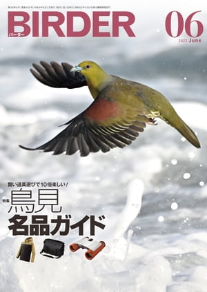 BIRDER2022年6月号