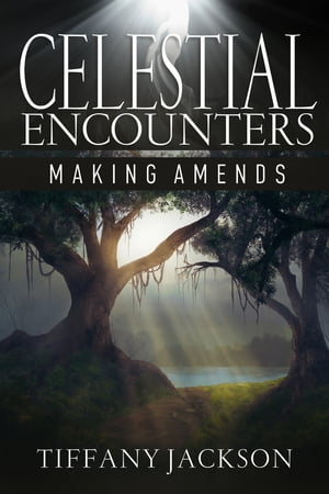 Celestial Encounters: Making A