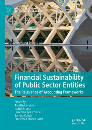 Financial Sustainability of Public Sector Entiti