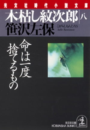 木枯し紋次郎（八）〜命は一度捨てるもの〜