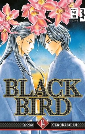 Black Bird 14