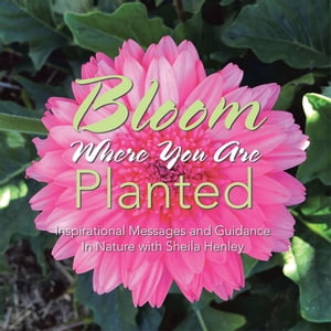 Bloom Where You Are Planted Inspirational Messages and Guidance in Nature with Sheila Henley