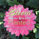 Bloom Where You Are Planted Inspirational Messages and Guidance in Nature with Sheila Henley【電子書籍】 Sheila Henley