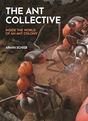 The Ant Collective