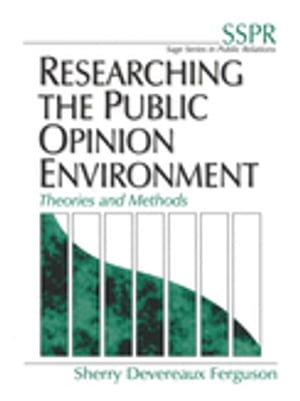 Researching the Public Opinion Environment