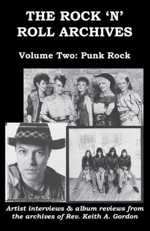 The Rock 'n' Roll Archives, Volume Two: Punk Rock