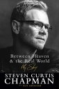 Between Heaven and the Real World My Story【電