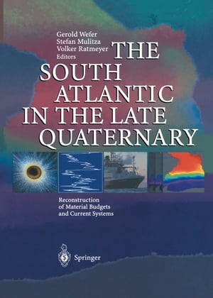 The South Atlantic in the Late Quaternary