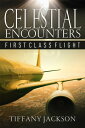 Celestial Encounters: First Class Flight【電