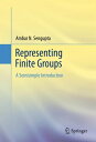 Representing Finite Groups A Semisimple Introduction【電子書籍】 Ambar N. Sengupta