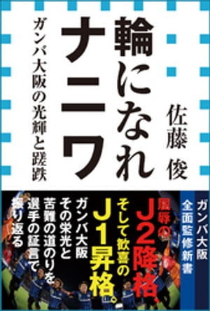 輪になれナニワ　ガンバ大阪の光輝と蹉跌（小学館新書）