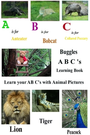 Buggles A B C Learning Book Learn the A B C's using AnimalsŻҽҡ[ Michael Taven Hill ]