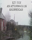 ŷKoboŻҽҥȥ㤨An Aftermath In Balbriggan Back To The Dole QueueŻҽҡ[ Kevin Foy ]פβǤʤ343ߤˤʤޤ