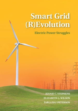 Smart Grid (R)Evolution Electric Power Struggles