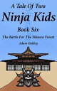 A Tale Of Two Ninja Kids - Book 6 - The Battle F
