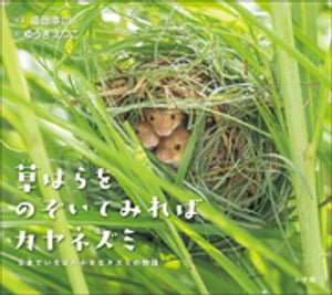 草はらをのぞいてみればカヤネズミ　〜日本でいちばん小さなネズミの物語〜（小学館の図鑑NEOの科学絵本）