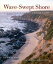 Wave-Swept Shore The Rigors of Life on a Rocky CoastŻҽҡ[ Dr. Mimi A. R. Koehl ]
