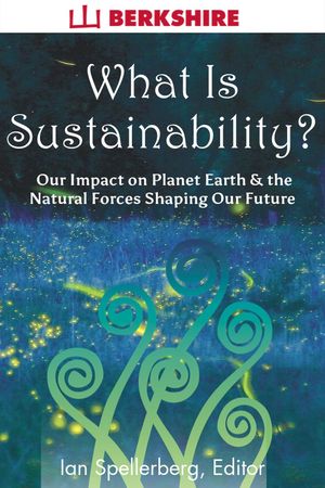 What Is Sustainability?【電子書籍】[ Ian S