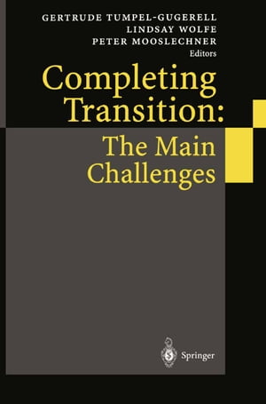 Completing Transition: The Main Challenges