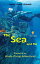 The Sea and Me: Stories of My Scuba Diving Adventures