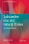 Substantive Bias and Natural Classes An Empirical ApproachŻҽҡ[ Yu-Leng Lin ]