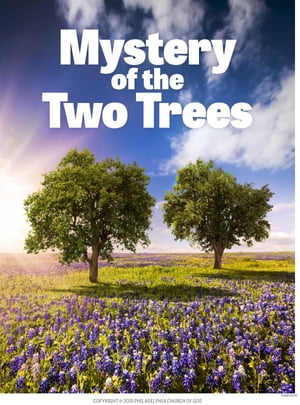 Mystery of the Two Trees