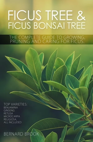 Ficus Tree and Ficus Bonsai Tree. The Complete Guide to Growing, Pruning and Caring for Ficus. Top Varieties Benjamina, Ginseng, Retusa, Microcarpa, Religiosa all included.