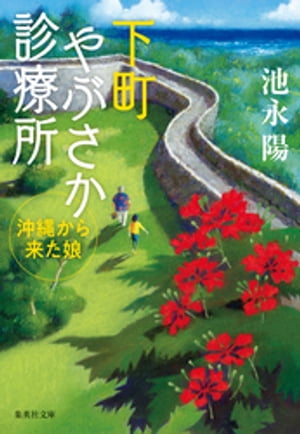 下町やぶさか診療所　沖縄から来た娘