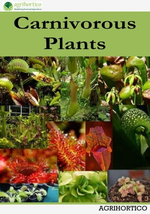 Carnivorous PlantsŻҽҡ[ Agrihortico ]