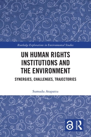 UN Human Rights Institutions and the Environment