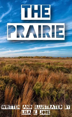 ŷKoboŻҽҥȥ㤨The Prairie The Nature Series, #8Żҽҡ[ Lisa E. Jobe ]פβǤʤ150ߤˤʤޤ