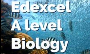 ŷKoboŻҽҥȥ㤨edexcel edexcel biology as levelŻҽҡ[ dalya shenelle ]פβǤʤ487ߤˤʤޤ