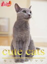 cute cats09 ロシアンブルー【電子書籍】