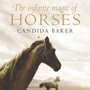 The Infinite Magic of Horses