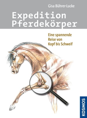 Expedition Pferdekörper