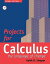 Projects for Calculus