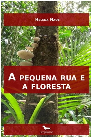 A pequena rua e a floresta