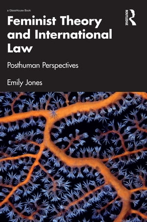 Feminist Theory and International Law