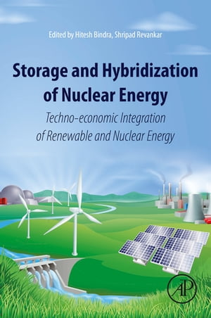 Storage and Hybridization of Nuclear Energy