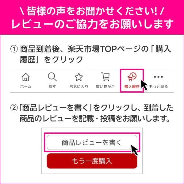 MagSafe対応iPhone 17eクリアケース 国内正規品 認定販売店 純正 Apple アップル