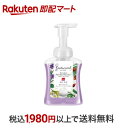 【最短当日お届け(チケット要)】 薬用せっけん ミューズ 泡ハンドソープ ボタニカル 本体 ボトル 250ml 【ミューズ】 ハンドソープ