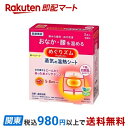 【最短当日お届け(チケット要)】 めぐりズム 蒸気の温熱シート 下着の内側面に貼るタイプ 5枚入 【めぐりズム】 温熱パッド