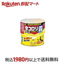  虫コロリアース ノンスモーク 霧タイプ 燻煙剤 9～12畳用 殺虫剤 & 侵入防止効果 100ml  くん煙殺虫剤