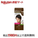 【最短当日お届け(チケット要)】 ルシード ワンプッシュケアカラー 5 ナチュラルブラウン 50g+50g 【ルシード(LUCIDO)】 白髪染め 男性用