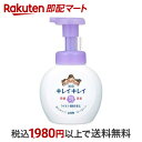  キレイキレイ 薬用泡ハンドソープ フローラルソープの香り ポンプ 250ml  ハンドソープ