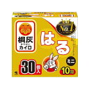 【最短当日お届け(チケット要)】 カイロ/桐灰 はるタイプ ミニ 30個入 【桐灰カイロ】 カイロ