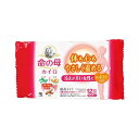 【最短当日お届け(チケット要)】 命の母カイロ 貼る(はる)タイプ 10個入 【命の母】 カイロ
