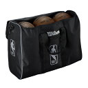 NBA公式 ウィルソン Wilson NBA AUTHENTIC 6 ボールバッグ
