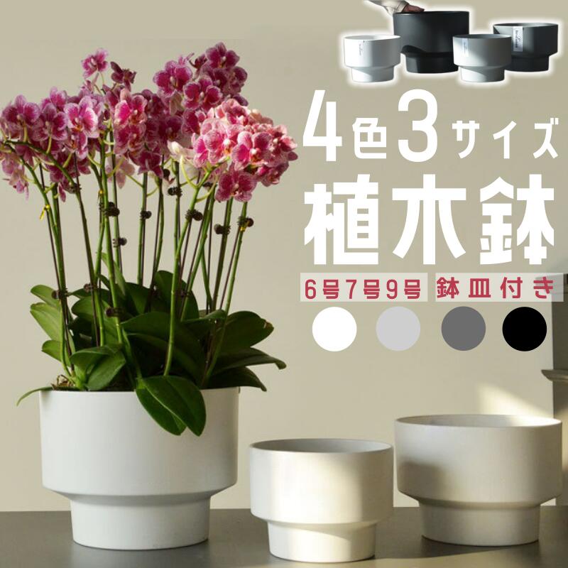 乐天商城 - 【レビュー特典】植木鉢 おしゃれ 北欧風 陶器風 軽量 プラスチック 石調 受け皿付き 室内 屋外 排水穴付き 観葉植物 鉢カバー インテリア 6号 7号 9号 ブラック ホワイト ライトグレー ダークグレー